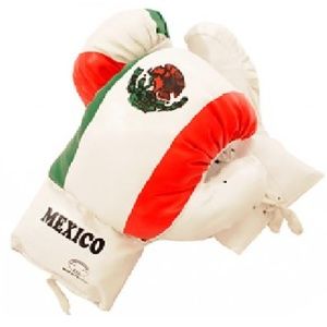 Mexican Flag Boxing Gloves 12 oz Last Punch